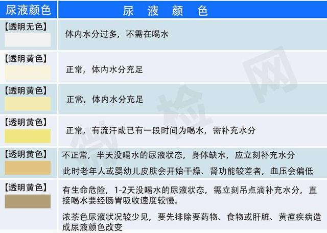 真人测试:水喝多了尿液变无色,是水没来得及变成尿直接排出了?