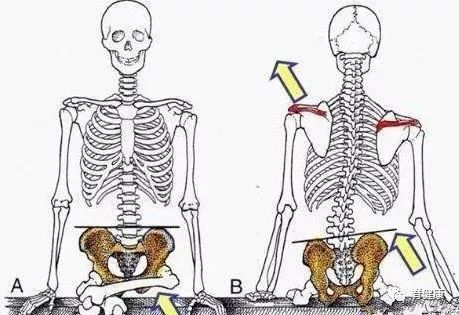肩膀 一高一低 这可不是什么小事 腾讯新闻
