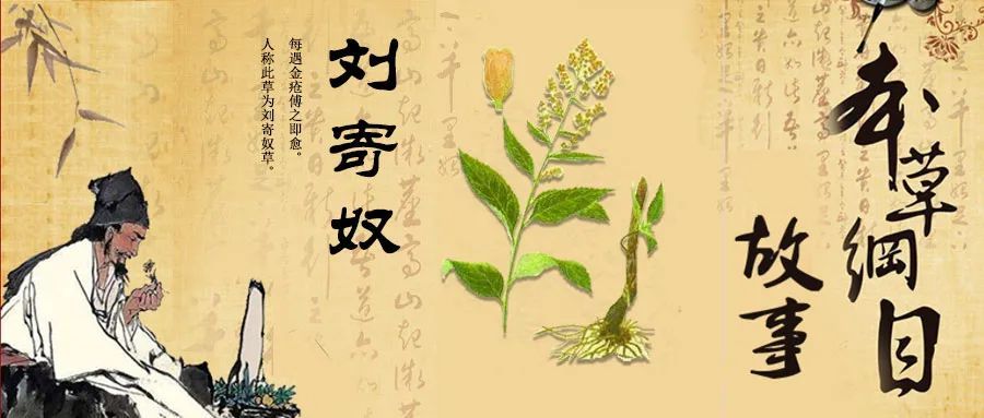 时珍曰〕:按李延寿南史云:宋高祖刘裕,小字寄奴,微时伐荻新洲,遇一