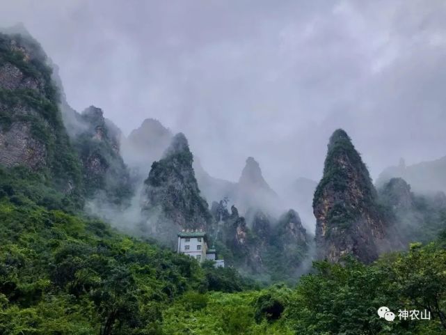 沁阳人的大福利！神农山国庆节门票免！玻璃桥免！索道免！