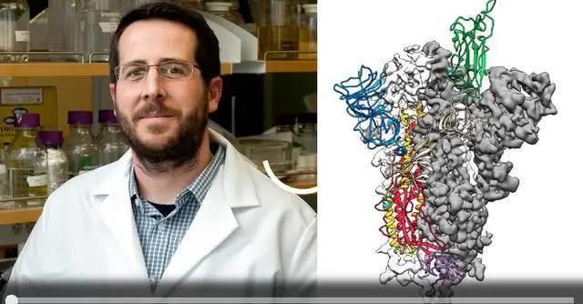 全球抗疫|全球抗疫曙光初现：新冠疫情的结局，是彻底消失，还是反复爆发？