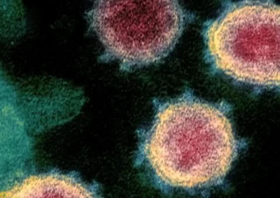 全球抗疫|全球抗疫曙光初现：新冠疫情的结局，是彻底消失，还是反复爆发？