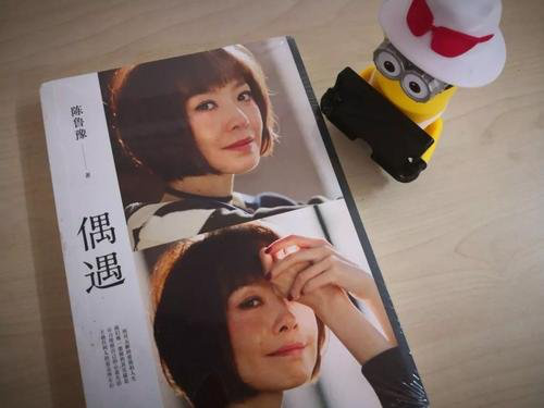 鲁豫|人见人爱的鲁豫，终于活成了别人讨厌的样子