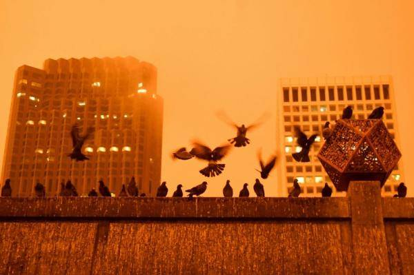 加州|有毒空气笼罩全城，加州宛如末日！极端灾难恐成人类新常态？