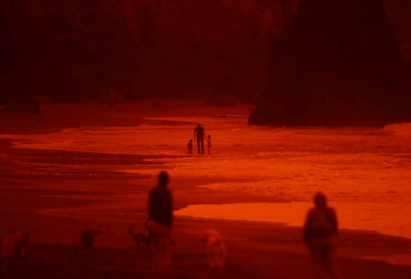 加州|有毒空气笼罩全城，加州宛如末日！极端灾难恐成人类新常态？