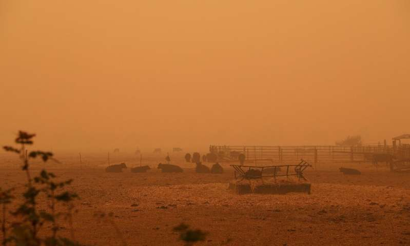 加州|有毒空气笼罩全城，加州宛如末日！极端灾难恐成人类新常态？