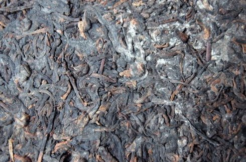 茶叶过期不等于变质,学会判断茶叶是否变质,尤其重要!_腾讯新闻