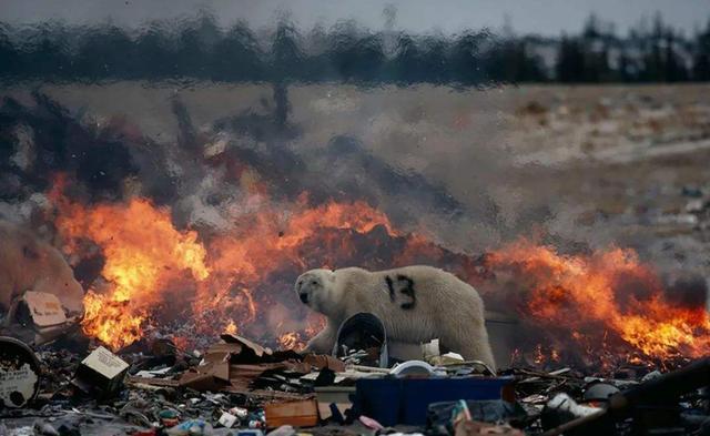 北极圈|北极大火肆虐，已释放244兆吨二氧化碳，会加速地球二次变暖？