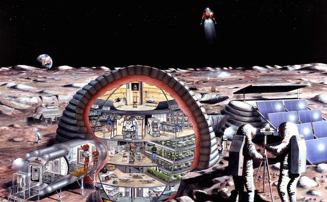 星际飞船|SN8登场！马斯克：高50米可乘100人登月，日本富豪已买票