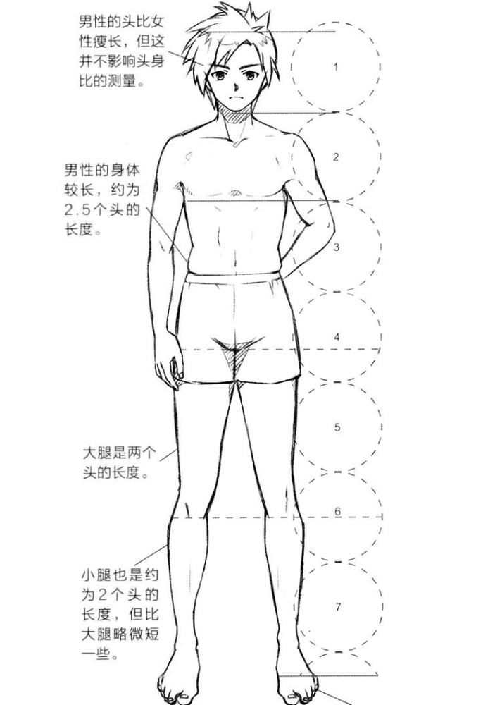 【cg原画插画教程】如何确定人体的比例
