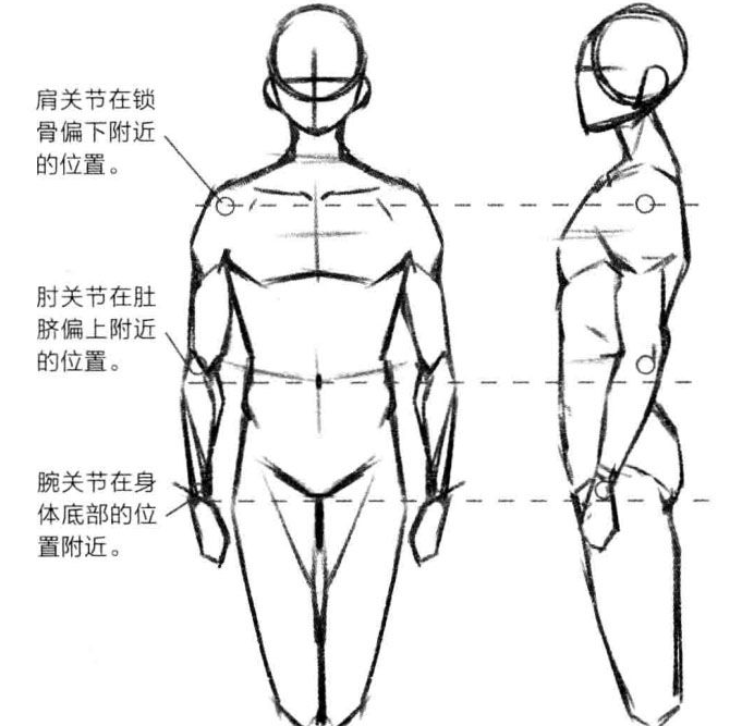【cg原画插画教程】如何确定人体的比例