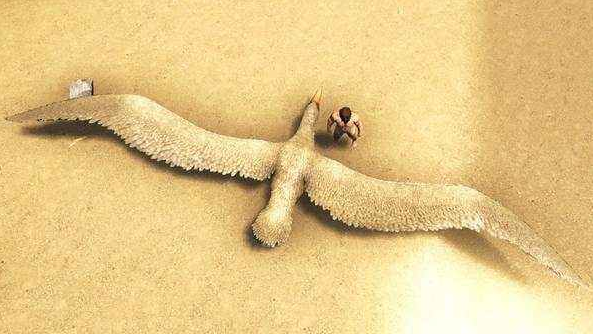 天敌|世界上最憋屈的鹰，身高2米翼展7米，没天敌却因“吃不饱”灭绝