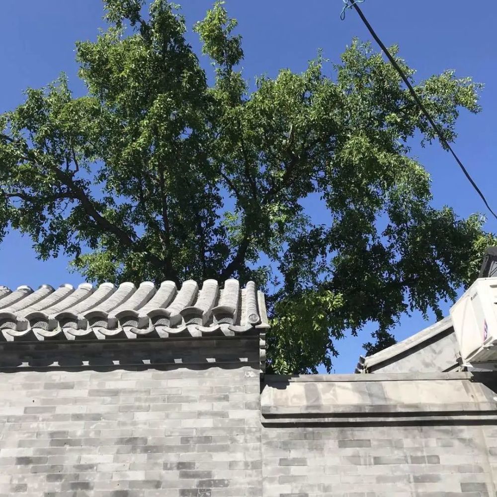 四合院|有天有地有院子，四合院，洋溢着老北京的韵味