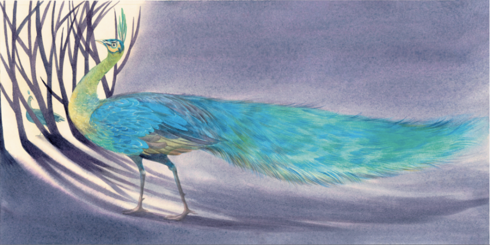 动物来信|儿童文学作家常立老师，收到了一摞动物的来信