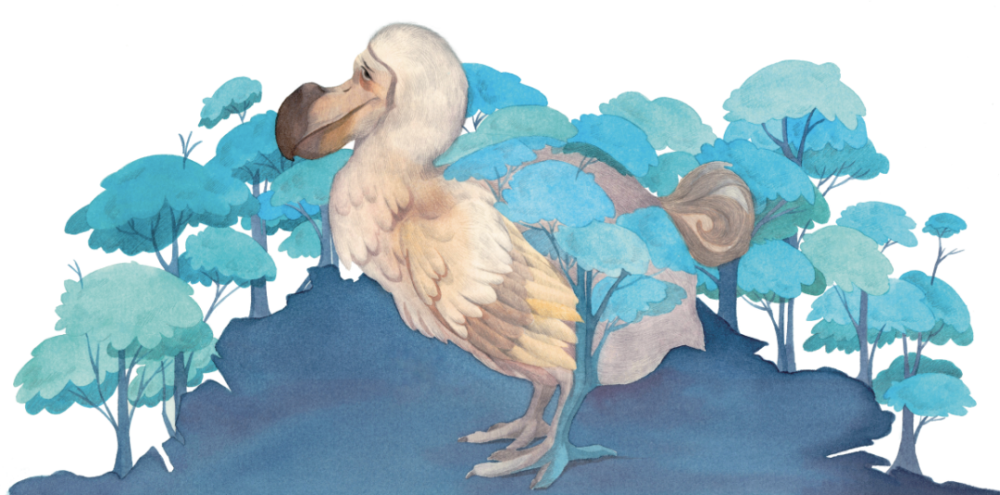 动物来信|儿童文学作家常立老师，收到了一摞动物的来信