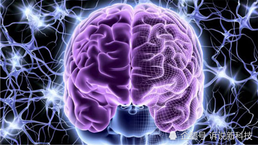 意识|人类意识从哪里来的？美国科学家的最新研究，解开了答案！