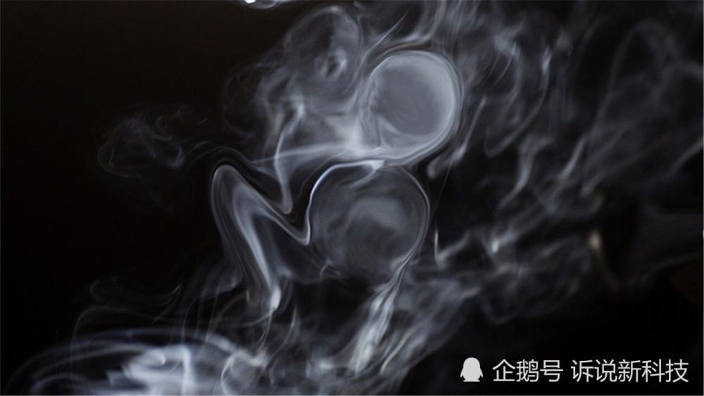 意识|人类意识从哪里来的？美国科学家的最新研究，解开了答案！