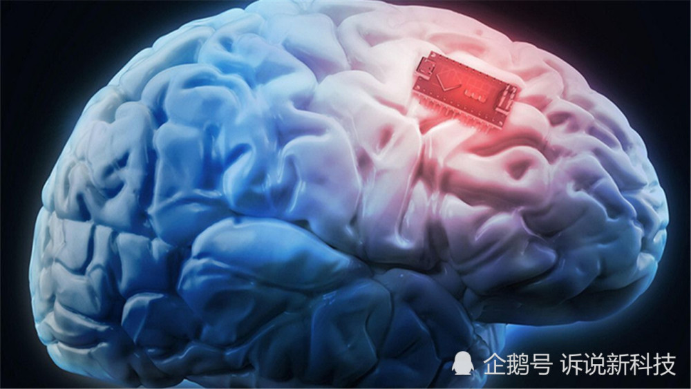 意识|人类意识从哪里来的？美国科学家的最新研究，解开了答案！
