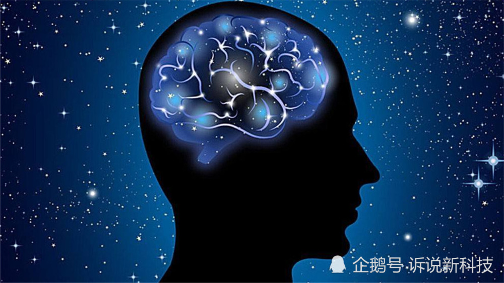 意识|人类意识从哪里来的？美国科学家的最新研究，解开了答案！