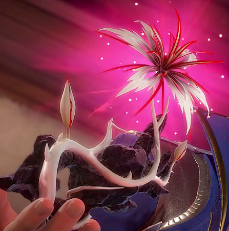 仙草之王——相思断肠红