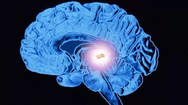 睡眠|为啥下雨天会睡得特别香？科学家给出答案，大自然太给力了！