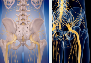 马尾神经损伤都会造成身体哪些方面的问题