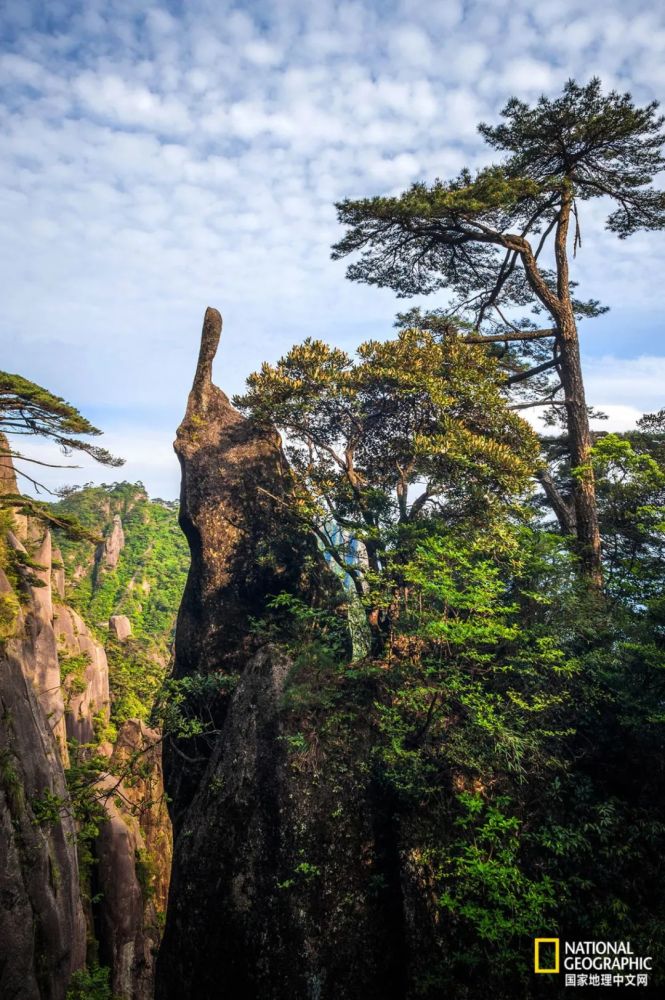 三清山|三清山，这仙气都溢出来了