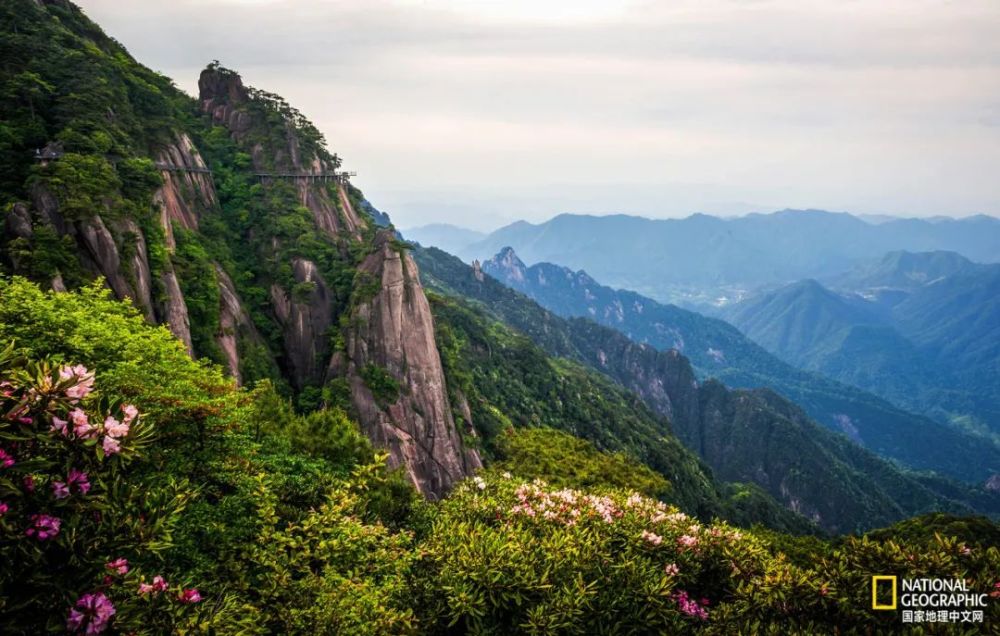 三清山|三清山，这仙气都溢出来了