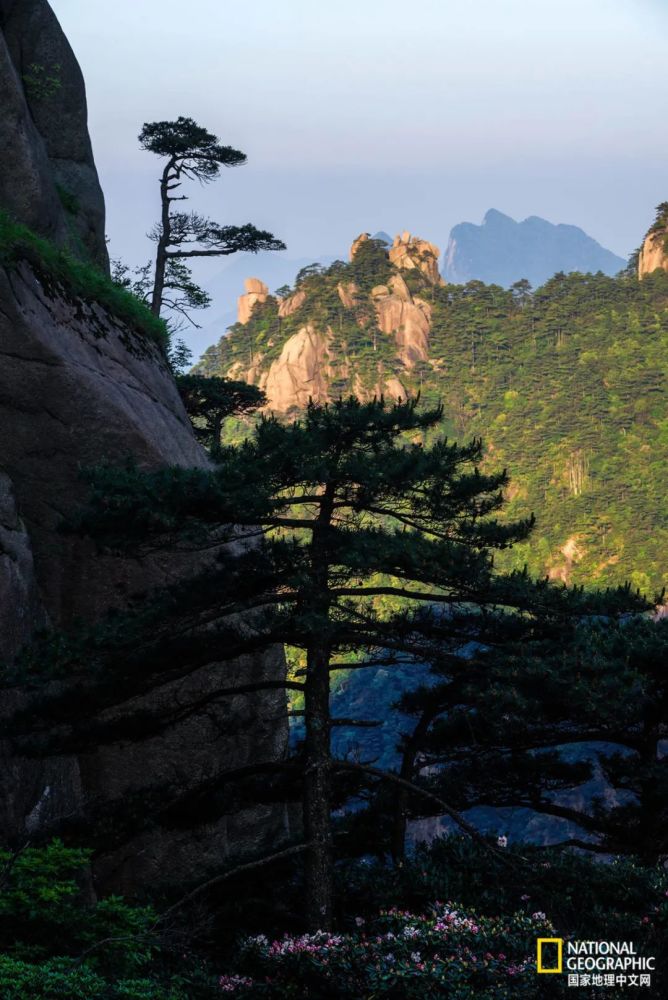 三清山|三清山，这仙气都溢出来了