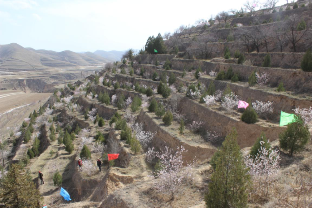 郭富山|【绿水青山巡礼之一】会宁：“红嘴山”上擎起绿色梦想