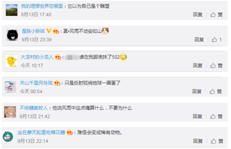 鲸头鹳|鲸头鹳暴雨中一动不动因为“智商感人”？错了！其实人家聪明着呢……