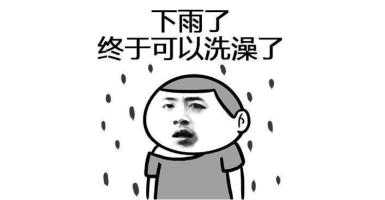 鲸头鹳|鲸头鹳暴雨中一动不动因为“智商感人”？错了！其实人家聪明着呢……