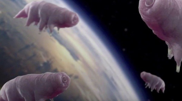 金星_天文行星|重磅发现：金星大概率存在生命！地球“姐妹星”到底有多少秘密？