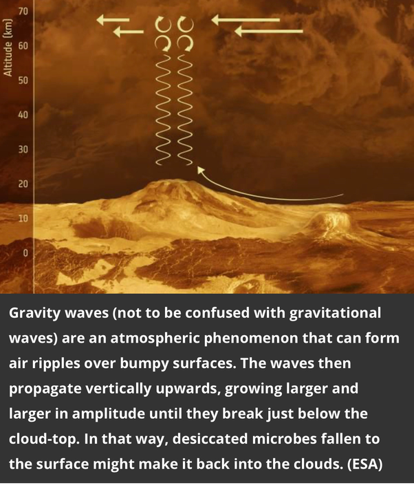 金星_天文行星|重磅发现：金星大概率存在生命！地球“姐妹星”到底有多少秘密？