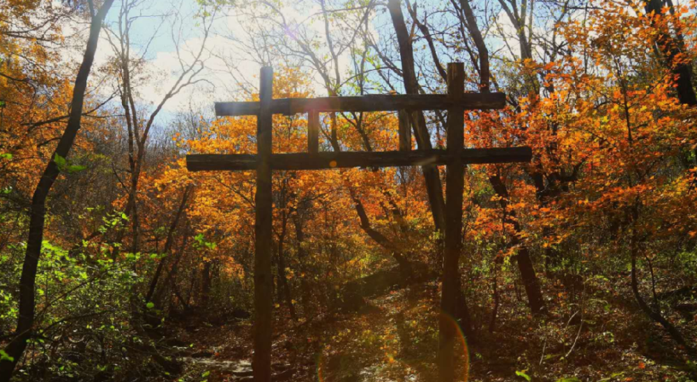 红叶|浪漫赏叶季 周末到这些地方感受金秋之美