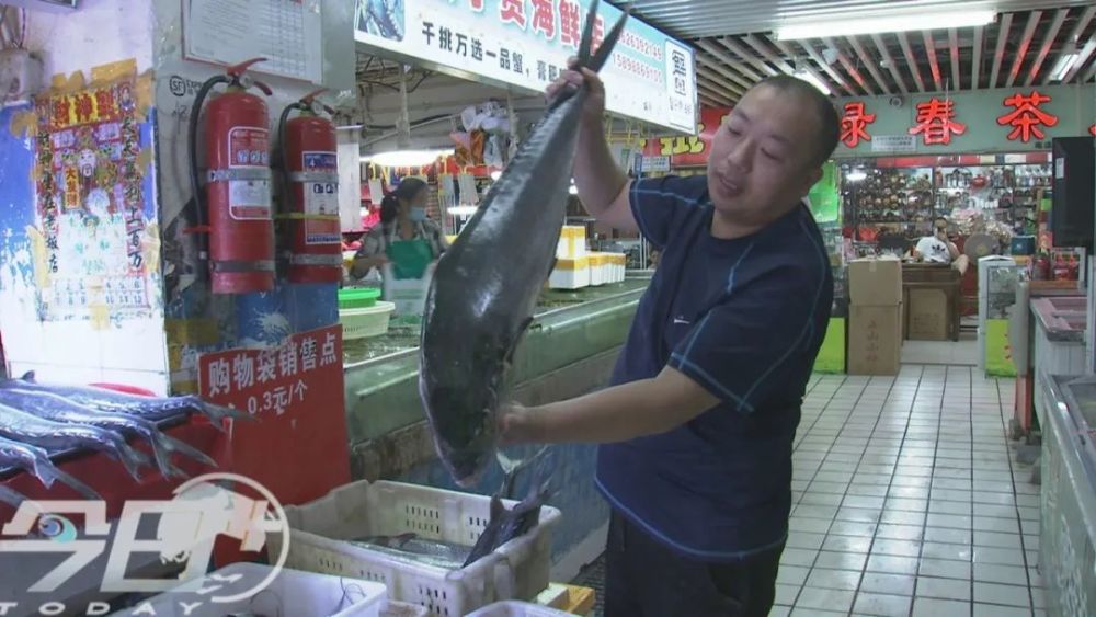 海鲜|青岛海鲜市场现大鱼！这么多海鲜，你最爱哪个？