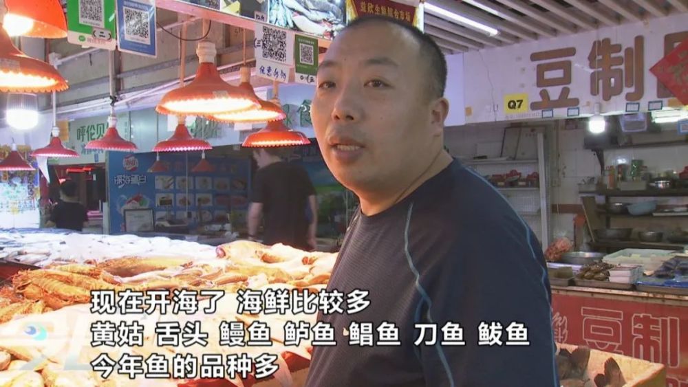 海鲜|青岛海鲜市场现大鱼！这么多海鲜，你最爱哪个？