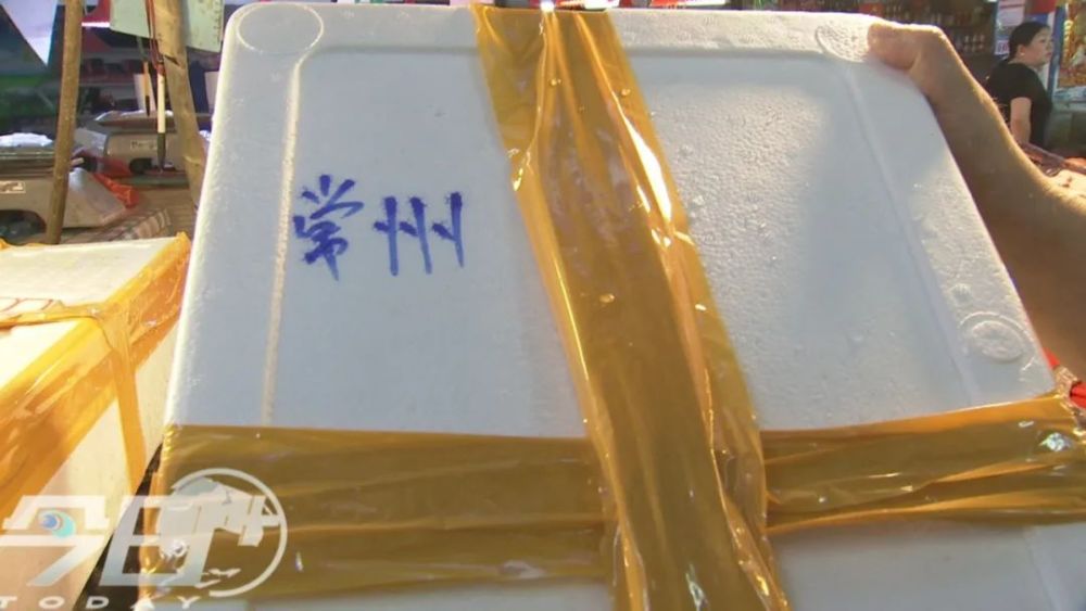 海鲜|青岛海鲜市场现大鱼！这么多海鲜，你最爱哪个？