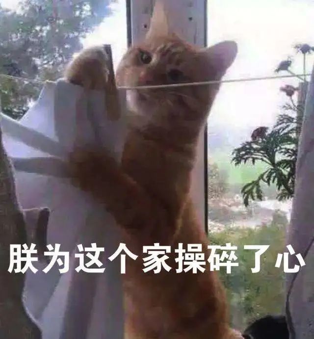 赵胤胤|钢琴家？艺术家？明星的另一半有不少都是潜在营销大户吧