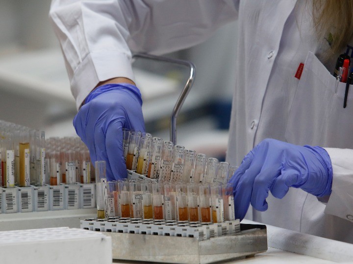 新冠病毒|研究指出：水貂具备将新冠病毒传染给人类的可能性