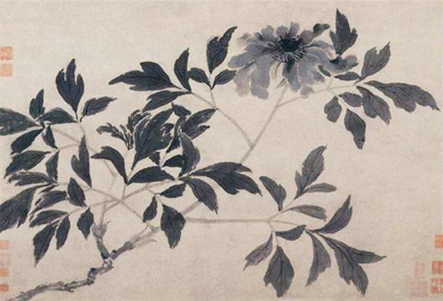 牡丹花|牡丹有何特别之处，为何能被奉为“国花”，它赢在4个方面