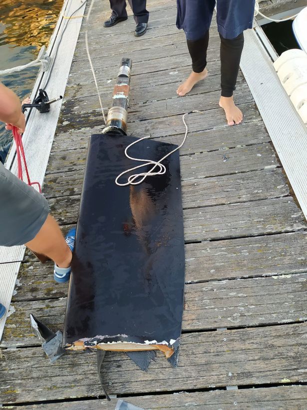 虎鲸|什么情况！虎鲸连续两月袭击过路船只，船长惊慌：如同精心策划过