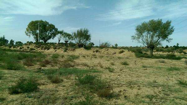 毛乌素|中国四大沙漠之一毛乌素被消灭了，人类能消灭所有沙漠吗？