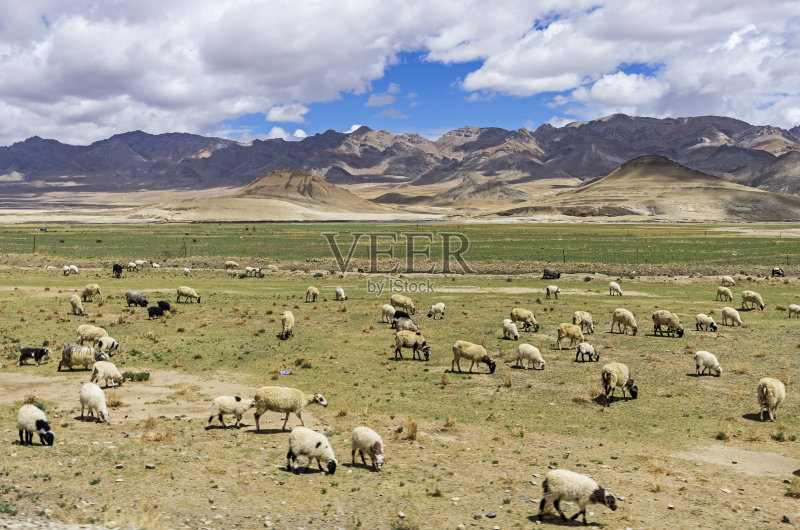 毛乌素|中国四大沙漠之一毛乌素被消灭了，人类能消灭所有沙漠吗？