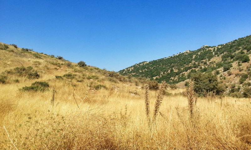 毛乌素|中国四大沙漠之一毛乌素被消灭了，人类能消灭所有沙漠吗？