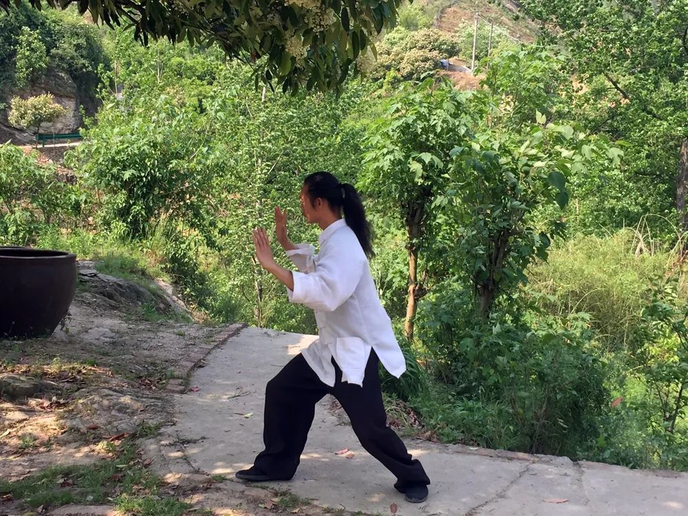 武当云手:豆棚瓜架里的修心人_腾讯新闻