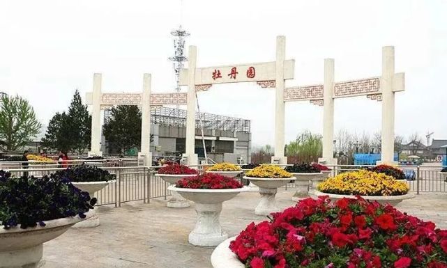 面积大6倍,铜川牡丹园将要扩建啦!