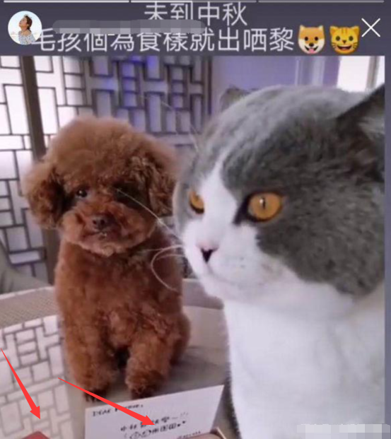 梁洛施|又隔空较劲？梁洛施晒中秋贺礼后，李泽楷女友也忙晒豪礼