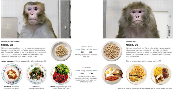 哈佛大学|哈佛“疯子”科学家，每天不吃早午饭被嘲笑，如今却年轻20岁
