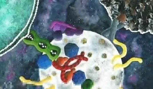 自噬体|Science：揭示细胞再回收中心—自噬体生物合成的关键步骤